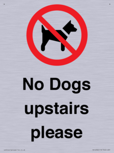 No Dogs upstairs please 